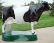 Recirculating Milking Cow